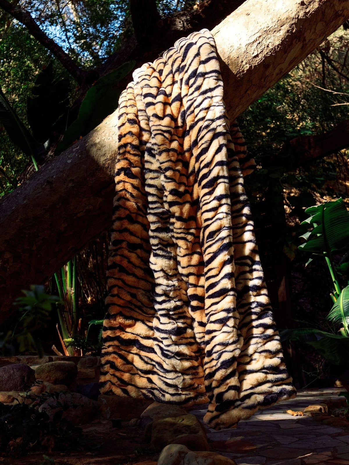 Dreamer Blanket