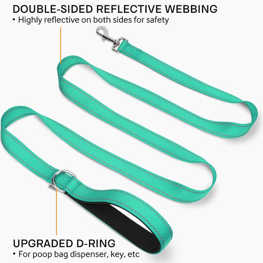 Joytale Dog Leash, 6 FT Double-Sided Reflective, Padded Handle Nylon Heavy Duty Leashes for Medium & Large Dogs Walking, Teal, 6FT