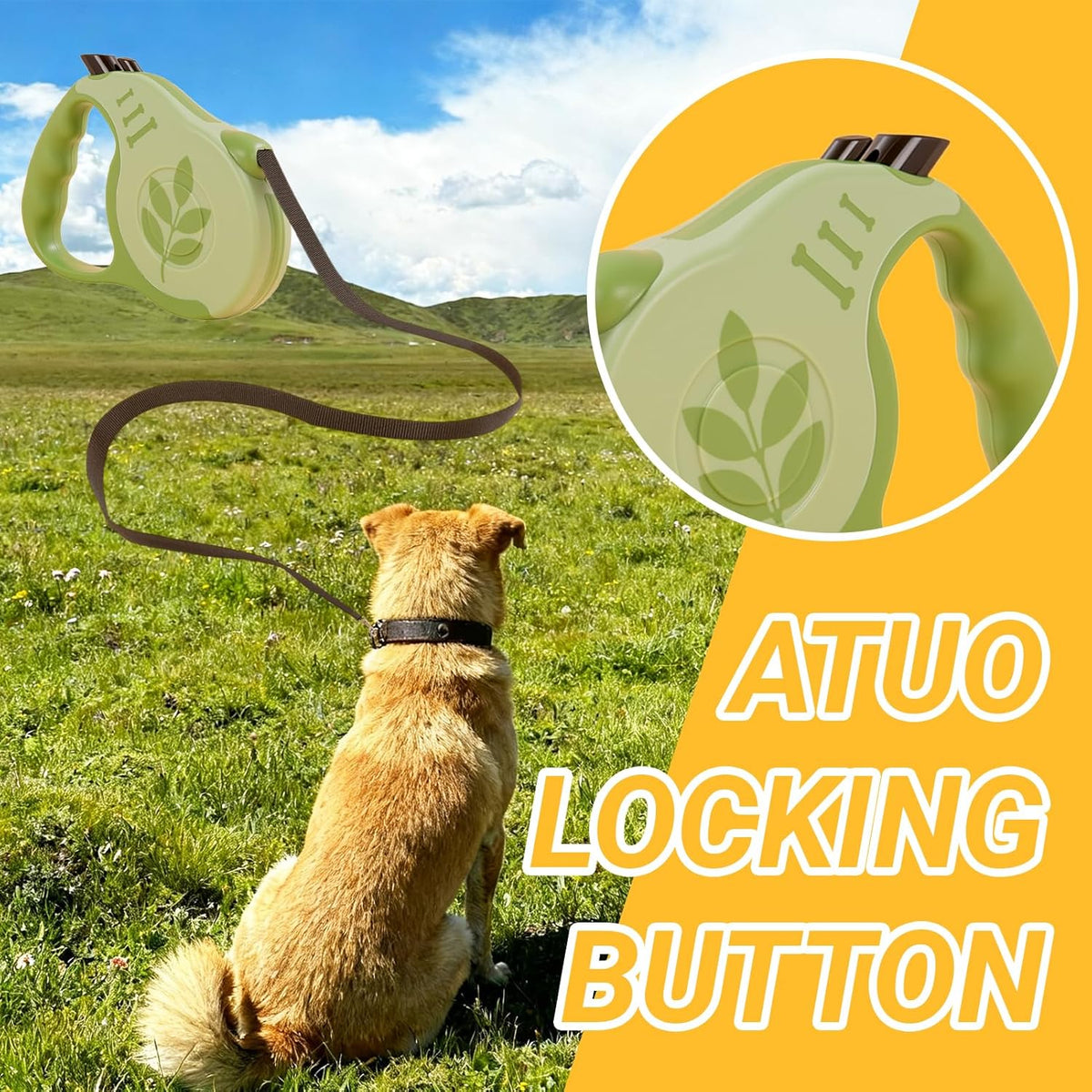 Retractable Dog Leash with Non-Slip Handle, 10 FT Automatic Telescopic Tractor with Atuo Locking Botton,Durable Pet Tape for Small and Medium-Sized Dogs Green