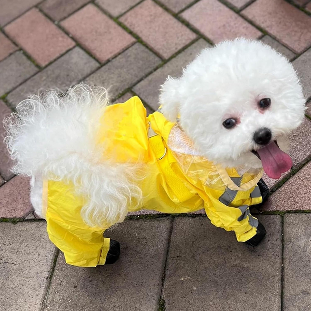 Waterproof Dog Raincoat,Full Coverage 4 Legs Dog Rain Jacket for Small Dogs,Pet Rain Coat with Hood,Reflective Strips&Leash Hole Outdoor Raincoat (Medium(for Weight 5.1-8.1 lb), Blue)