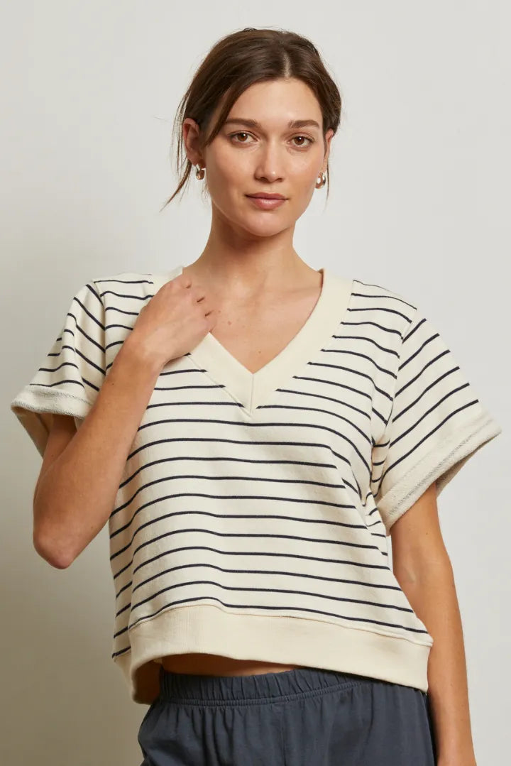 briggs stripe